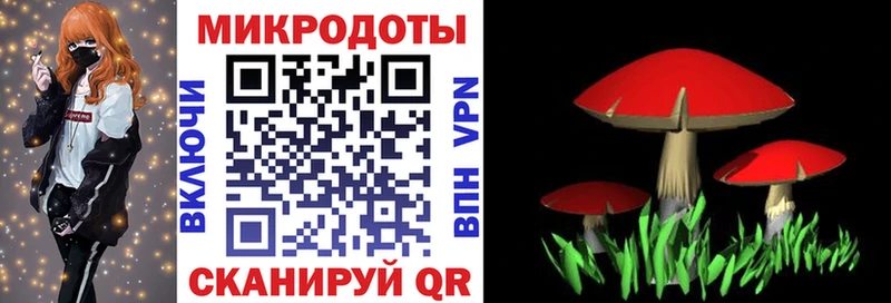 ОМГ ОМГ ONION  Кизел  Галлюциногенные грибы Psilocybe 